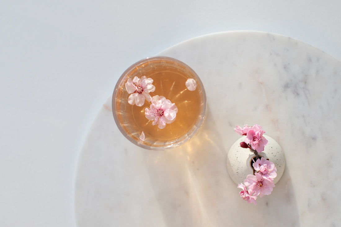 Cherry Blossom Season: Why Japanese Culture Embraces Sakura