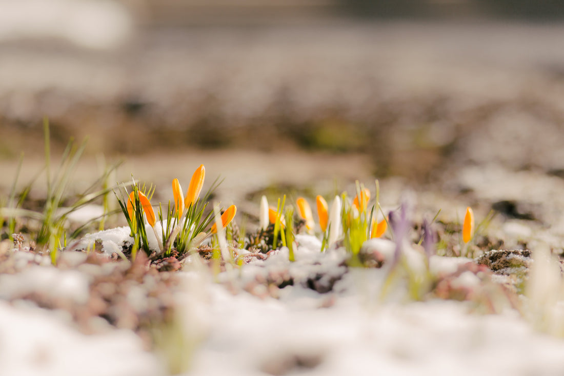 spring skincare routine