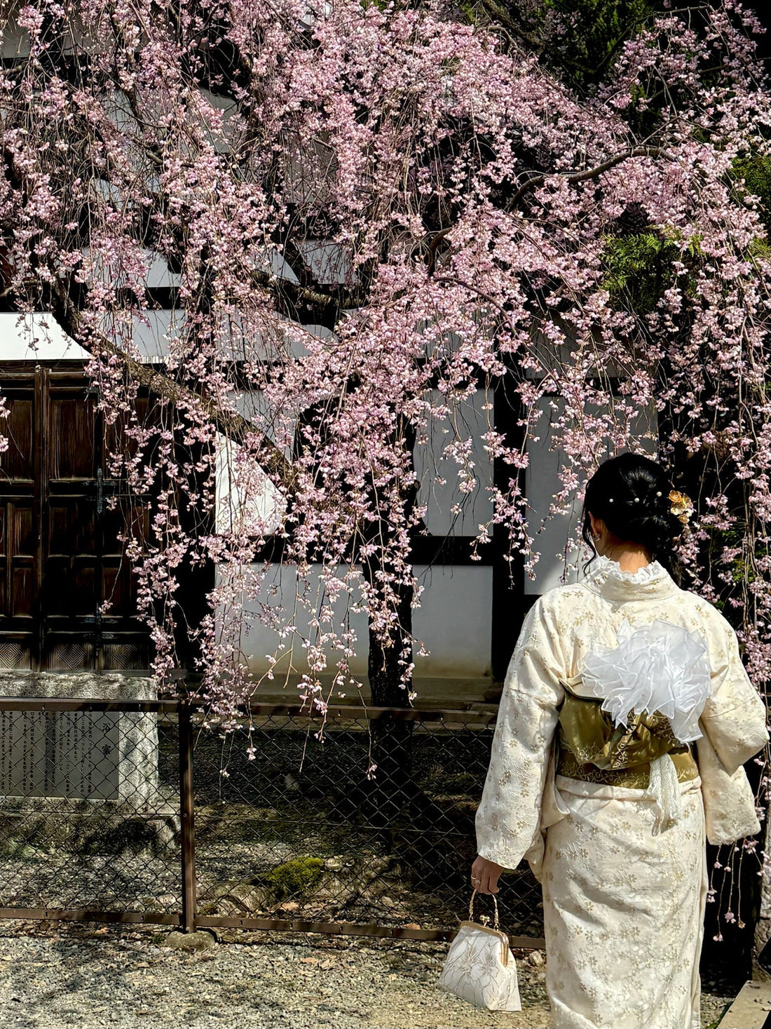 What Is Sakura and How Is It Used In Skincare?