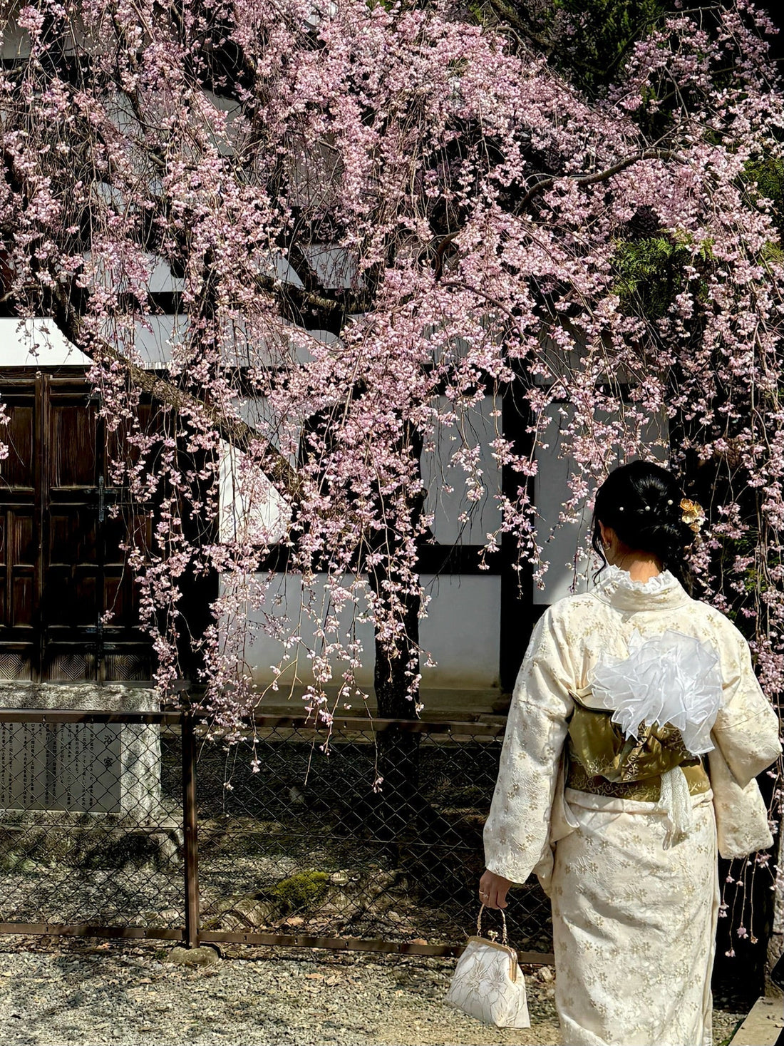 What Is Sakura and How Is It Used In Skincare?