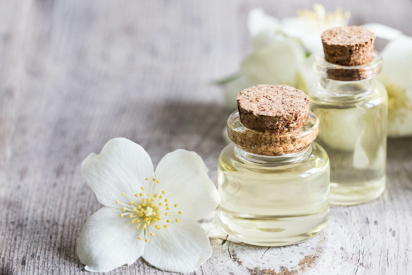 What Is Jasmine Oil and How Is It Used in Skincare