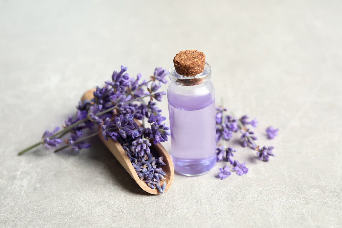 What Is Lavender Oil and How Is It Used in Skincare?