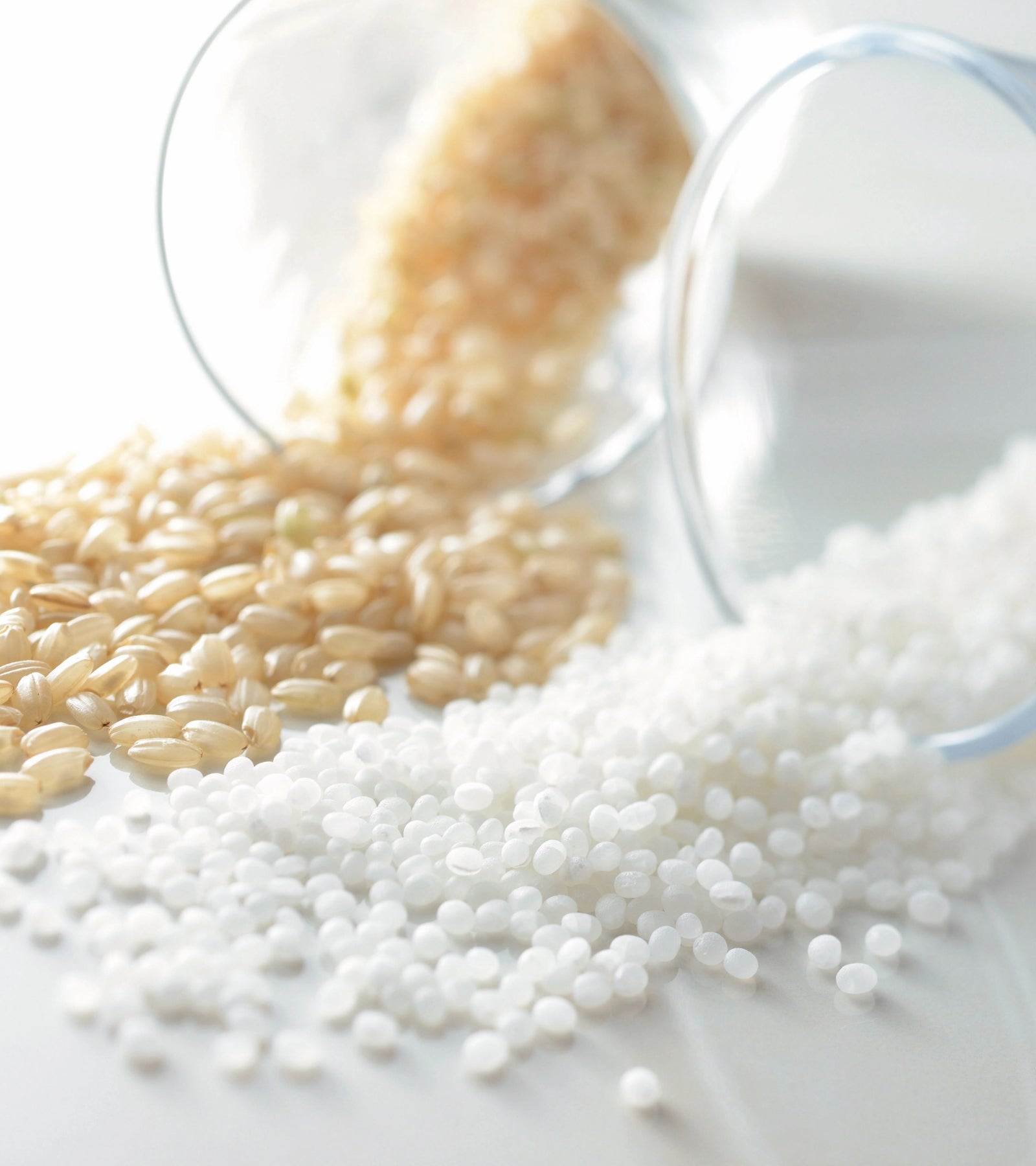 Dassai Oil in Moisturizing Lotion 24 Units ($40 per unit)